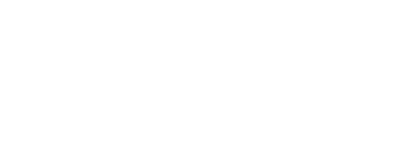Skadyr Empresas